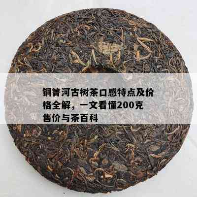 铜箐河古树茶口感特点及价格全解，一文看懂200克售价与茶百科