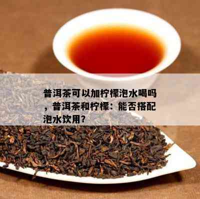 普洱茶可以加柠檬泡水喝吗，普洱茶和柠檬：能否搭配泡水饮用？