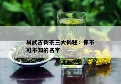 易武古树茶三大揭秘：你不可不知的名字