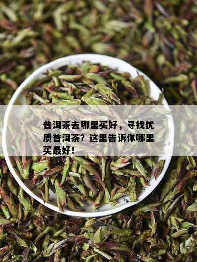 普洱茶去哪里买好，寻找优质普洱茶？这里告诉你哪里买更好！