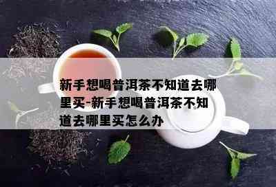 新手想喝普洱茶不知道去哪里买-新手想喝普洱茶不知道去哪里买怎么办