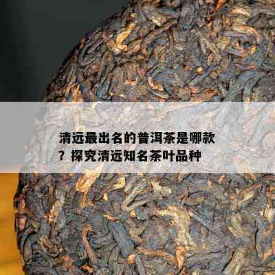 清远最出名的普洱茶是哪款？探究清远知名茶叶品种