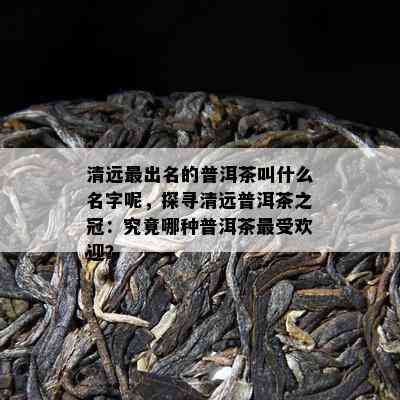 清远最出名的普洱茶叫什么名字呢，探寻清远普洱茶之冠：究竟哪种普洱茶更受欢迎？