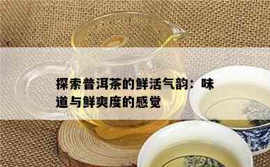 探索普洱茶的鲜活气韵：味道与鲜爽度的感觉