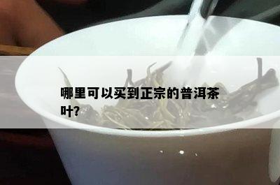 哪里可以买到正宗的普洱茶叶？