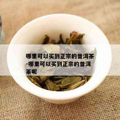 哪里可以买到正宗的普洱茶-哪里可以买到正宗的普洱茶呢