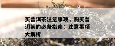 买普洱茶注意事项，购买普洱茶的必备指南：注意事项大解析