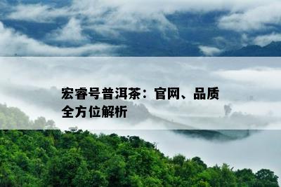 宏睿号普洱茶：官网、品质全方位解析