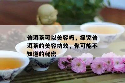 普洱茶可以美容吗，探究普洱茶的美容功效，你可能不知道的秘密