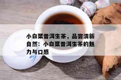 小白菜普洱生茶，品尝清新自然：小白菜普洱生茶的魅力与口感