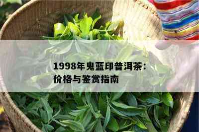 1998年鬼蓝印普洱茶：价格与鉴赏指南