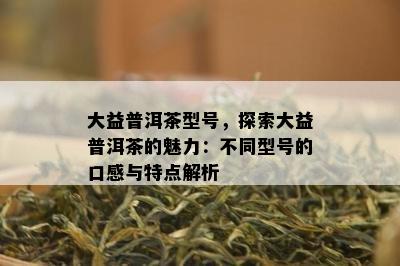 大益普洱茶型号，探索大益普洱茶的魅力：不同型号的口感与特点解析