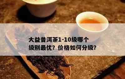 大益普洱茶1-10级哪个级别更优？价格如何分级？