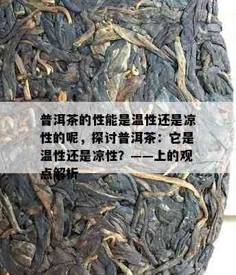 普洱茶的性能是温性还是凉性的呢，探讨普洱茶：它是温性还是凉性？——上的观点解析