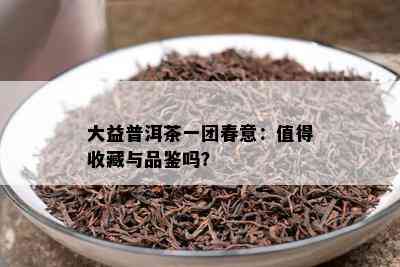 大益普洱茶一团春意：值得收藏与品鉴吗？