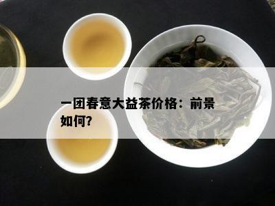 一团春意大益茶价格：前景怎样？