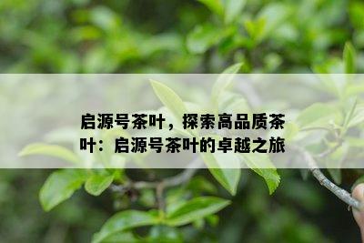 启源号茶叶，探索高品质茶叶：启源号茶叶的卓越之旅