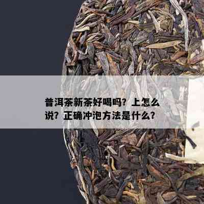 普洱茶新茶好喝吗？上怎么说？正确冲泡方法是什么？