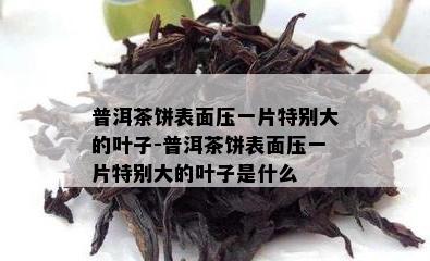 普洱茶饼表面压一片特别大的叶子-普洱茶饼表面压一片特别大的叶子是什么