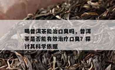 喝普洱茶能治口臭吗，普洱茶是不是能有效治疗口臭？探讨其科学依据