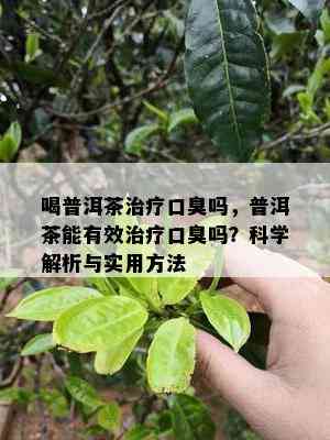 喝普洱茶治疗口臭吗，普洱茶能有效治疗口臭吗？科学解析与实用方法