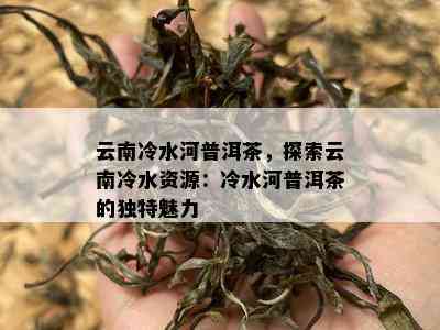 云南冷水河普洱茶，探索云南冷水资源：冷水河普洱茶的独特魅力