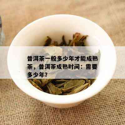 普洱茶一般多少年才能成熟茶，普洱茶成熟时间：需要多少年？