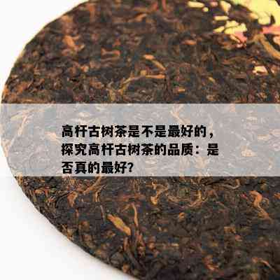 高杆古树茶是不是更好的，探究高杆古树茶的品质：是否真的更好？