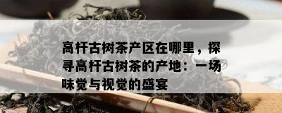 高杆古树茶产区在哪里，探寻高杆古树茶的产地：一场味觉与视觉的盛宴