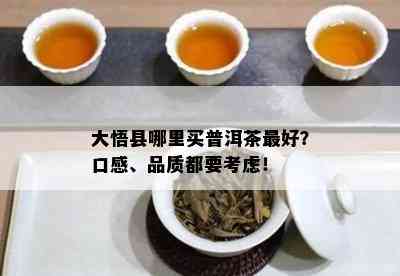 大悟县哪里买普洱茶更好？口感、品质都要考虑！