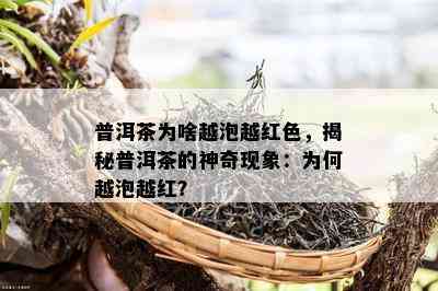 普洱茶为啥越泡越红色，揭秘普洱茶的神奇现象：为何越泡越红？