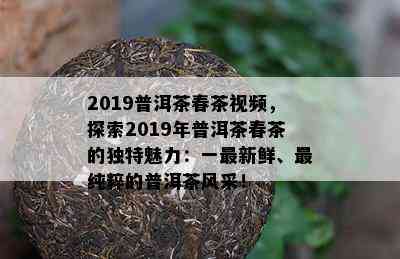 2019普洱茶春茶视频，探索2019年普洱茶春茶的特别魅力：一最新鲜、最纯粹的普洱茶风采！