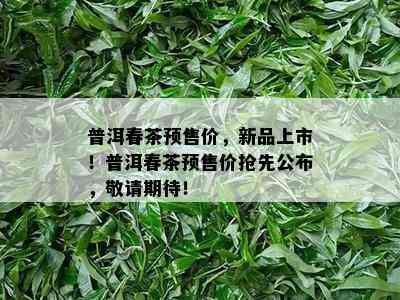 普洱春茶预售价，新品上市！普洱春茶预售价抢先公布，敬请期待！