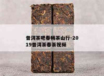 普洱茶吧春畅茶山行-2019普洱茶春茶视频