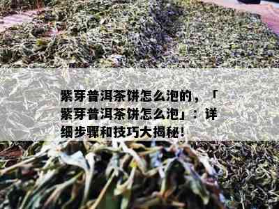 紫芽普洱茶饼怎么泡的，「紫芽普洱茶饼怎么泡」：详细步骤和技巧大揭秘！