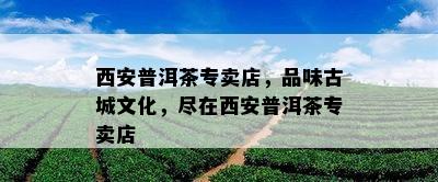 西安普洱茶专卖店，品味古城文化，尽在西安普洱茶专卖店