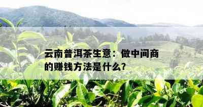 云南普洱茶生意：做中间商的赚钱方法是什么？