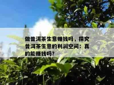 做普洱茶生意赚钱吗，探究普洱茶生意的利润空间：真的能赚钱吗？