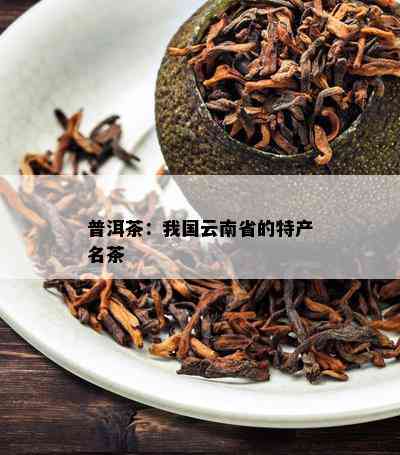 普洱茶：我国云南省的特产名茶