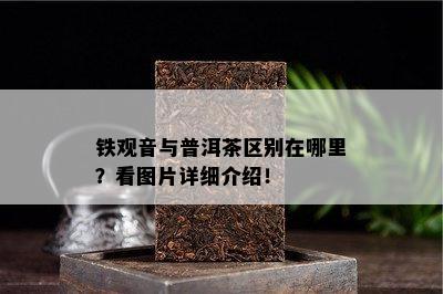 铁观音与普洱茶区别在哪里？看图片详细介绍！