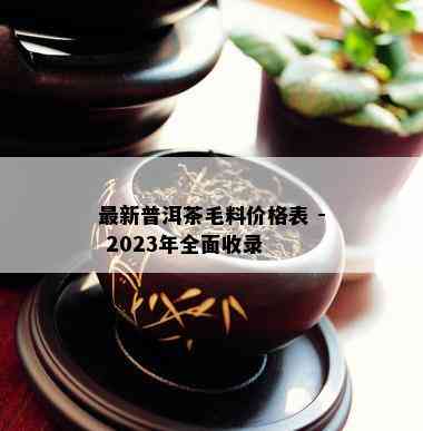 最新普洱茶毛料价格表 - 2023年全面收录