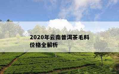 2020年云南普洱茶毛料价格全解析