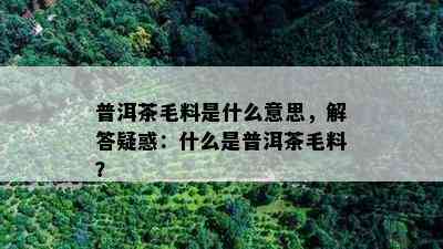 普洱茶毛料是什么意思，解答疑惑：什么是普洱茶毛料？