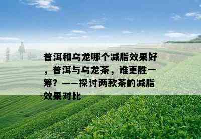 普洱和乌龙哪个减脂效果好，普洱与乌龙茶，谁更胜一筹？——探讨两款茶的减脂效果对比