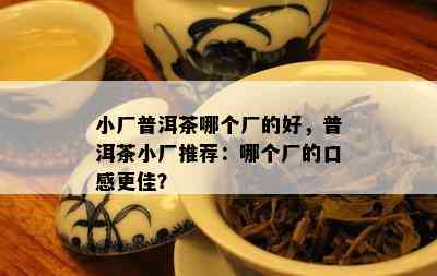 小厂普洱茶哪个厂的好，普洱茶小厂推荐：哪个厂的口感更佳？