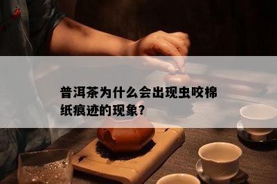 普洱茶为什么会出现虫咬棉纸痕迹的现象？