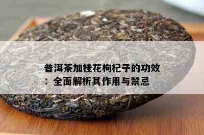 普洱茶加桂花枸杞子的功效：全面解析其作用与禁忌