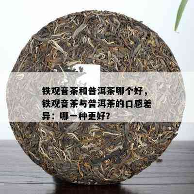 铁观音茶和普洱茶哪个好，铁观音茶与普洱茶的口感差异：哪一种更好？