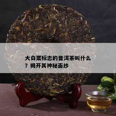 大白菜标志的普洱茶叫什么？揭开其神秘面纱