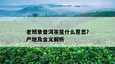 老班章普洱茶是什么意思？产地及含义解析